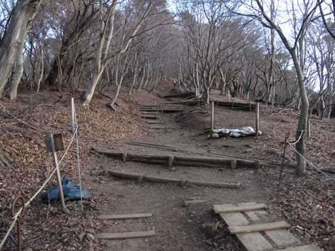 20170118hike (41)